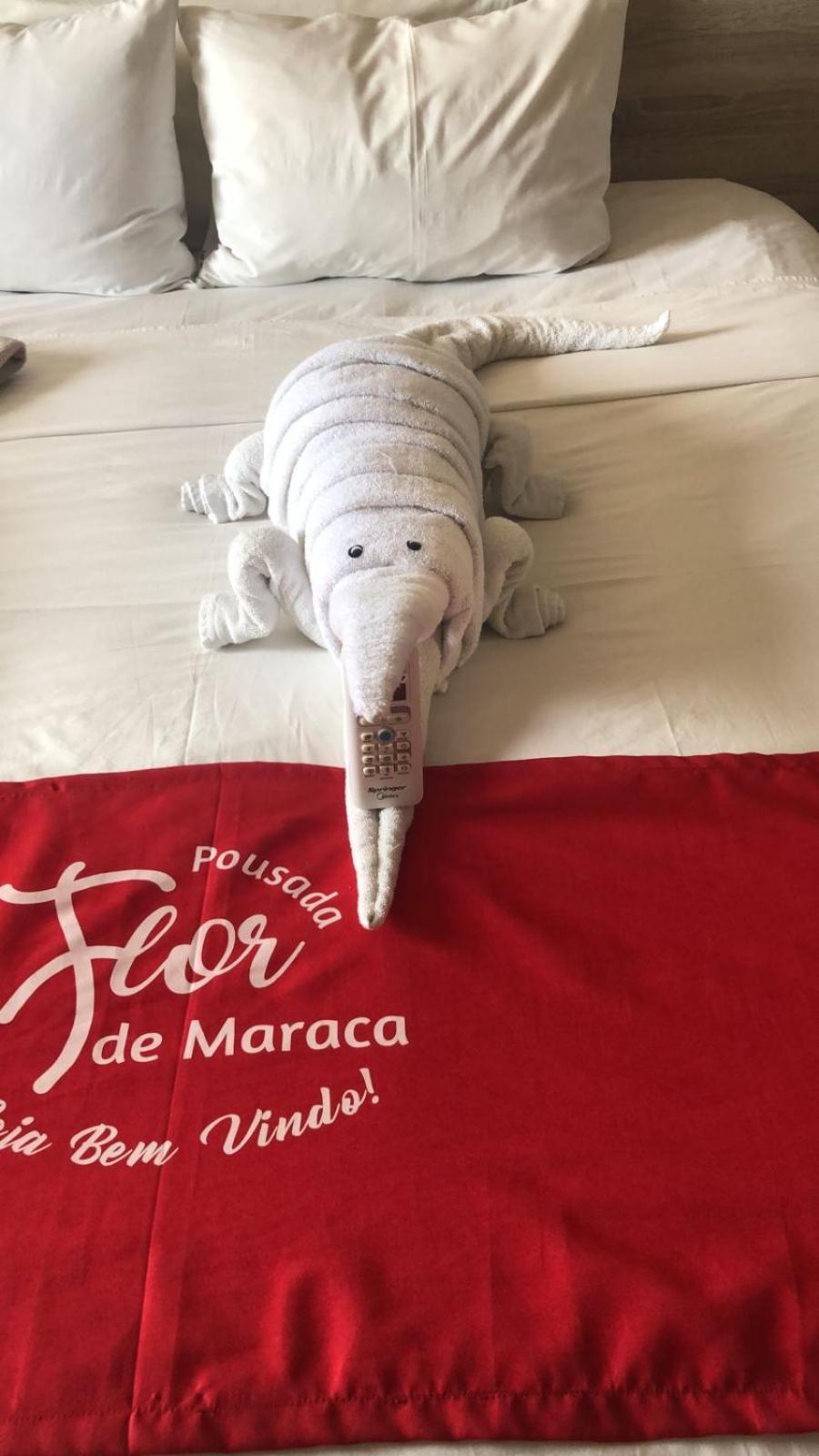 Pousada Flor De Maraca Pôrto das Galinhas Eksteriør bilde